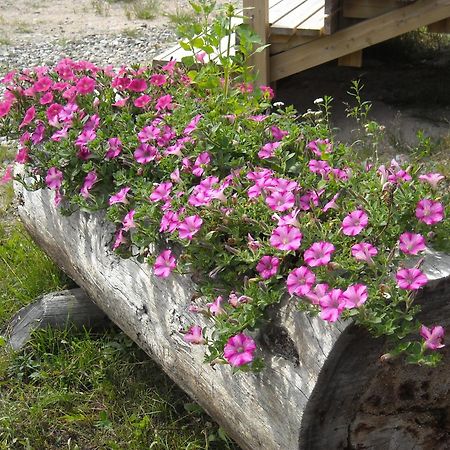 Aneen Loma Vacation And Cottages ปอซิโอ ภายนอก รูปภาพ