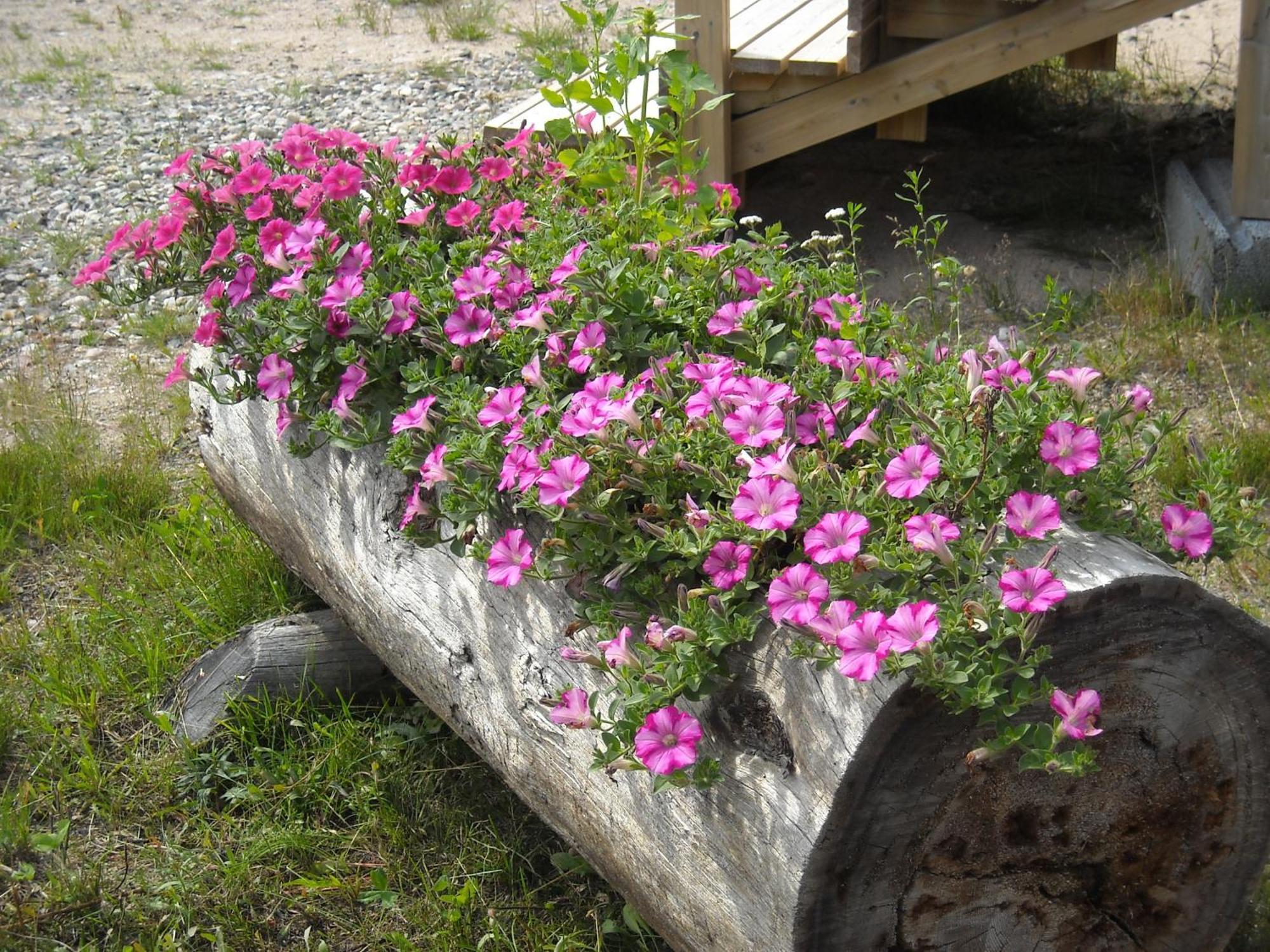Aneen Loma Vacation And Cottages ปอซิโอ ภายนอก รูปภาพ